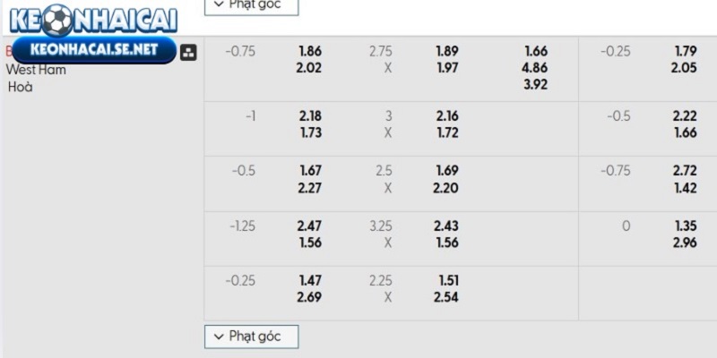 Tỷ lệ rate nhà cái Brighton & Hove Albion vs West Ham