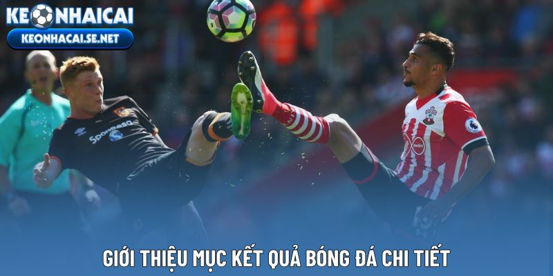 Giới thiệu mục kết quả bóng đá chi tiết