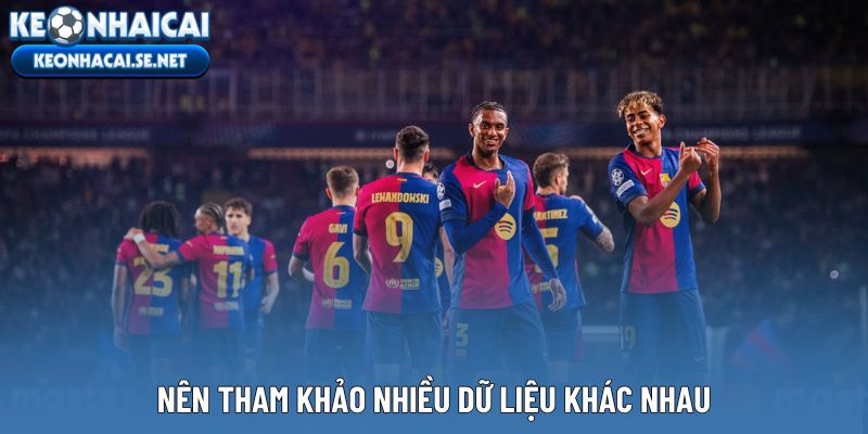 Nên tham khảo nhiều dữ liệu khác nhau